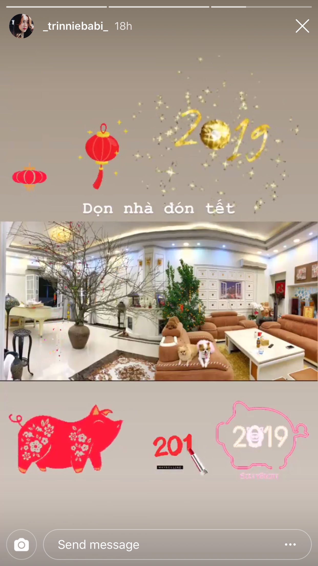 Rich kid don Tet anh 8