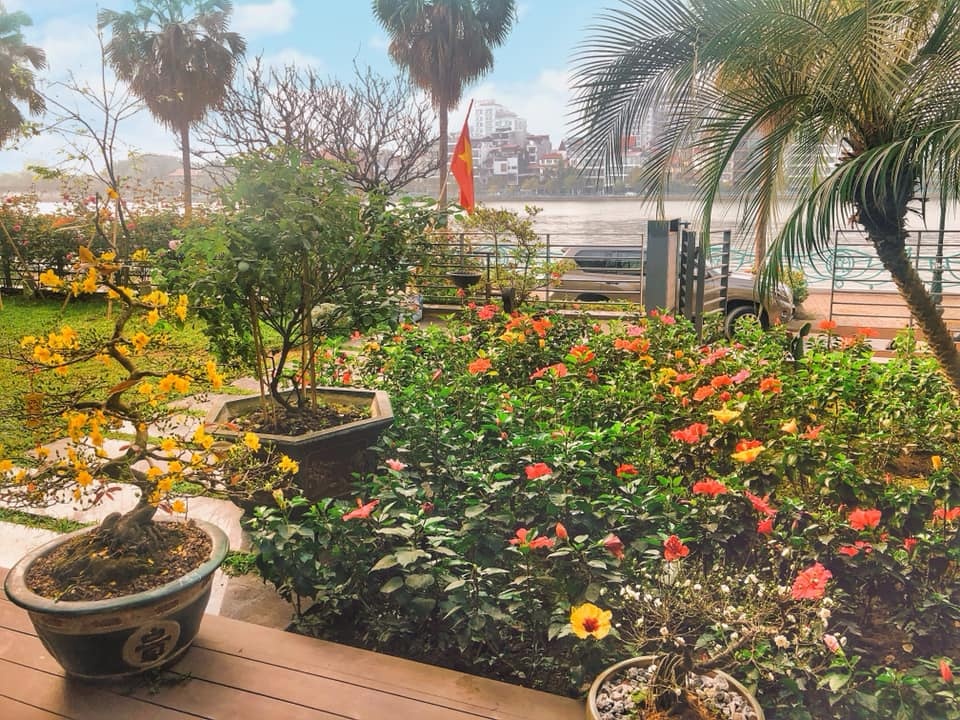 Rich kid don Tet anh 2