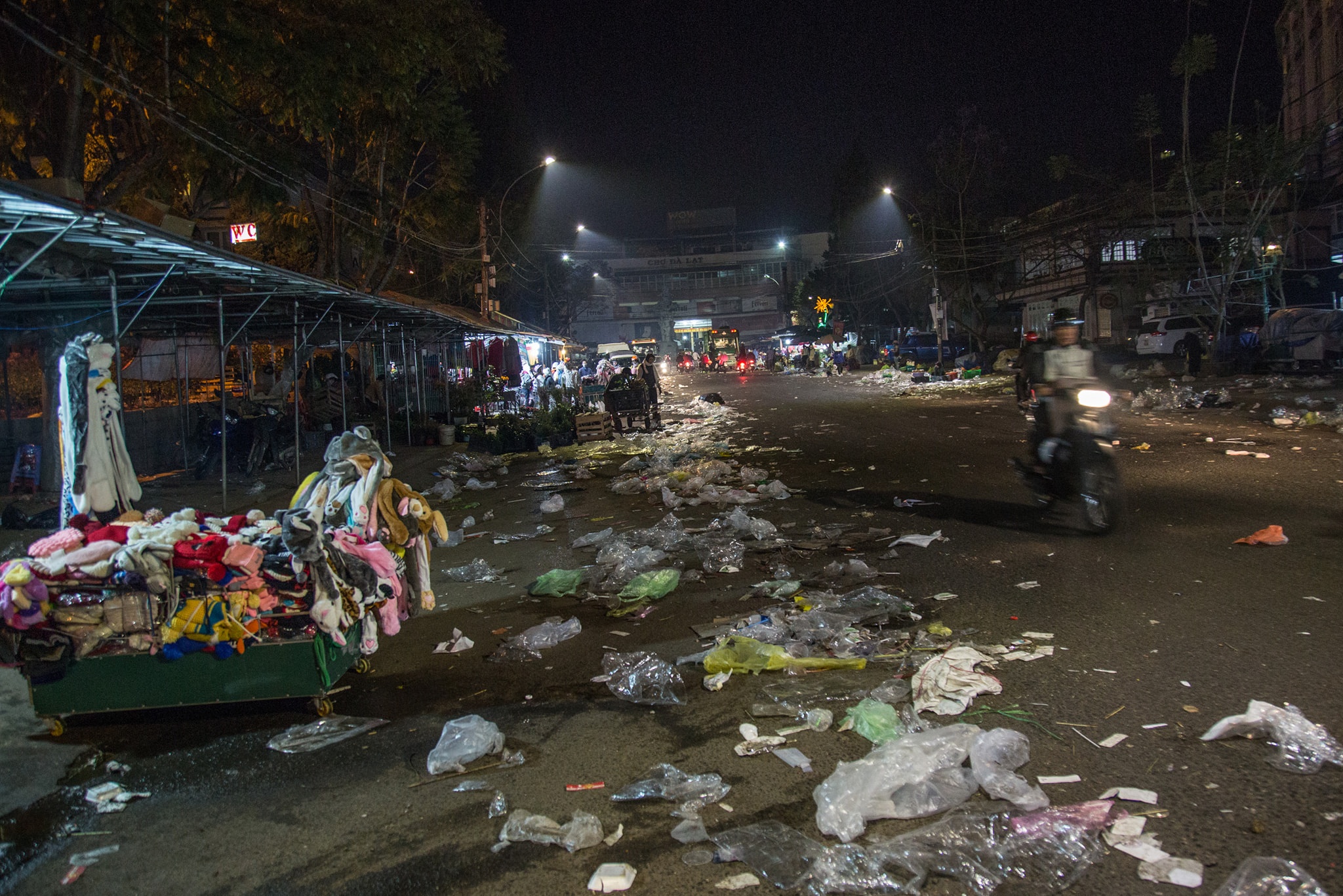 Da Lat ngap rac sau ky nghi Tet anh 2