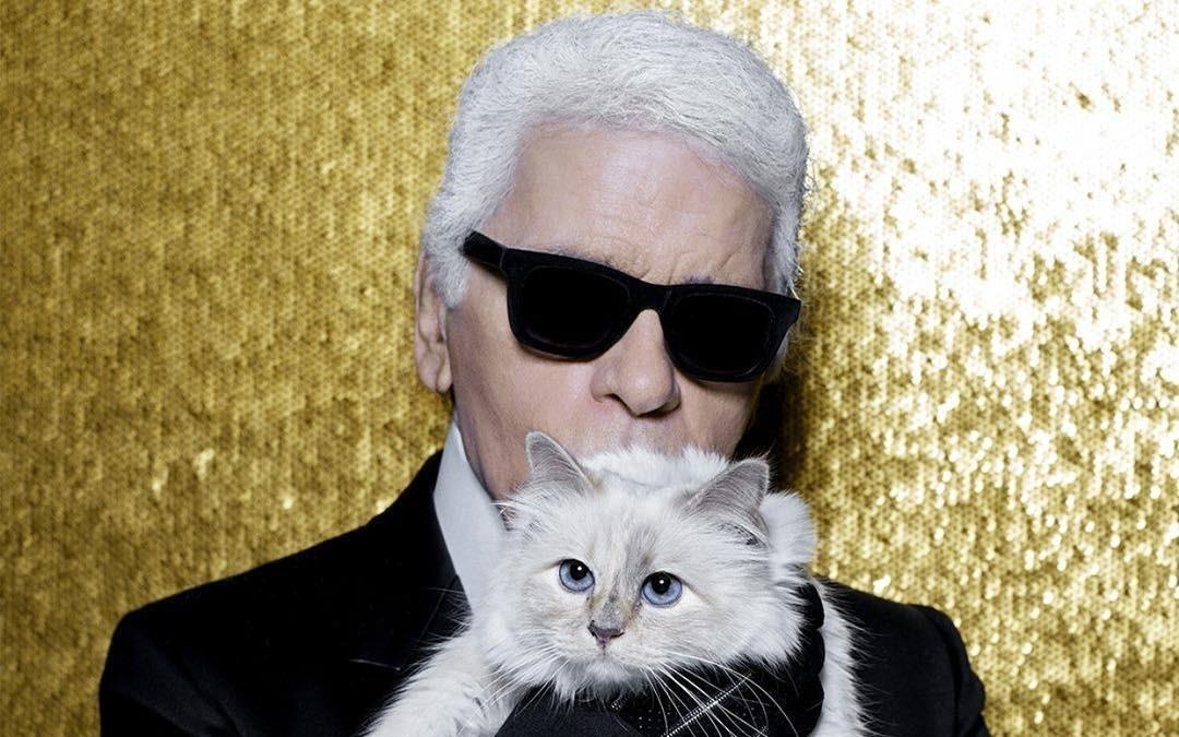 Chan dung co meo quy toc cua nha thiet ke huyen thoai Karl Lagerfeld hinh anh