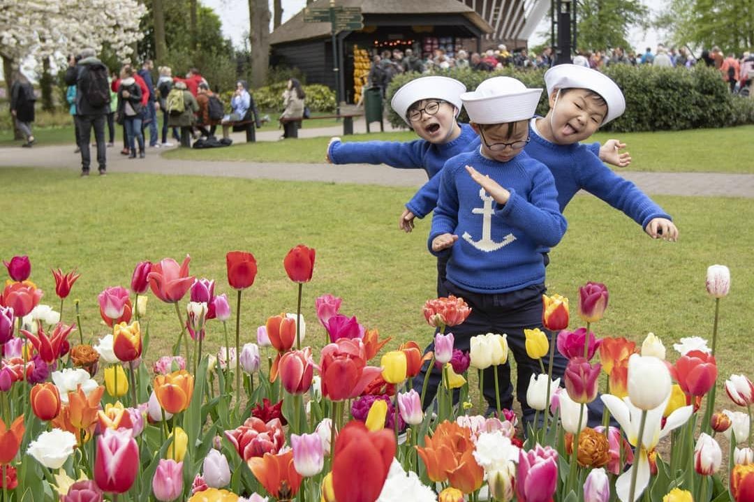 3 anh em Daehan Minguk Manse anh 4