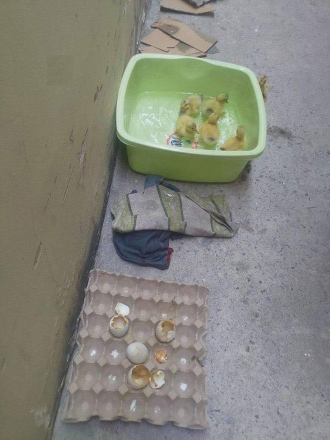 Anh vui nang nong anh 7