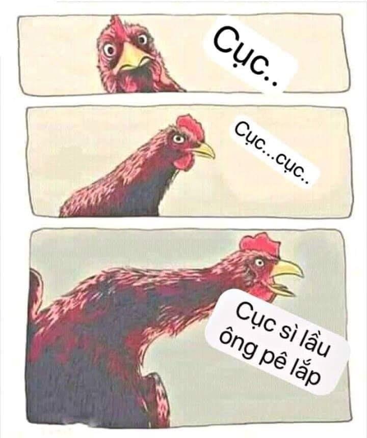 trao luu che anh cuc xi lau ong be lap anh 8