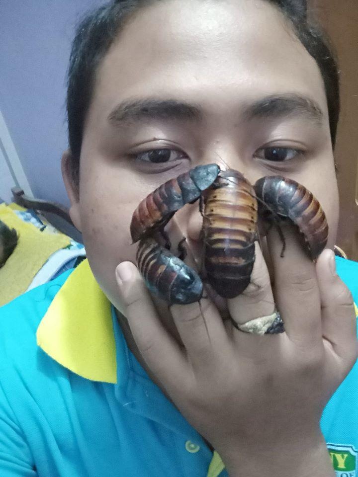 trào lưu đặt gián lên mặt selfie ảnh 5 trao luu dat gian len mat selfie anh 5