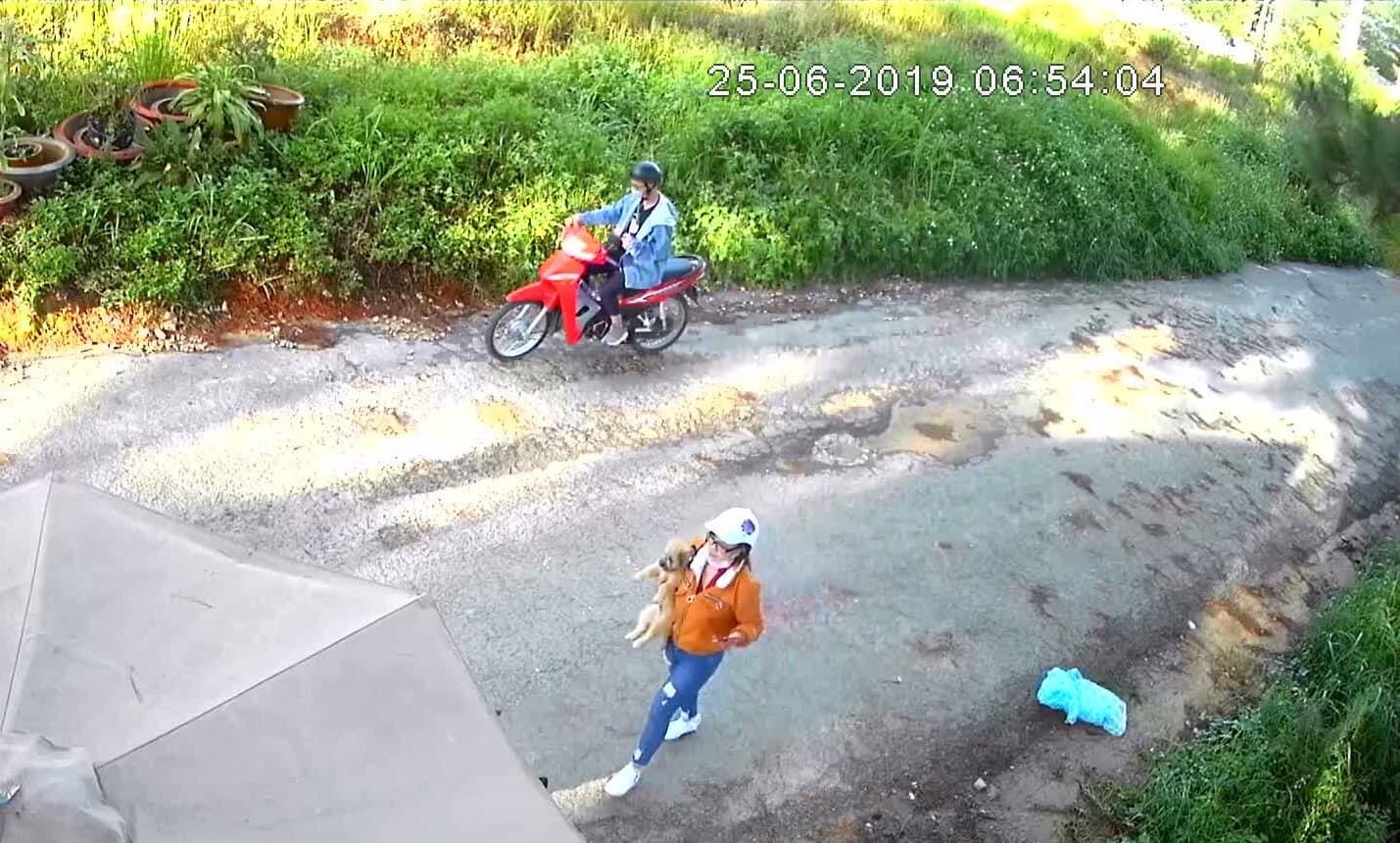 bắt trộm chó ở Đà Lạt ảnh 1 bat trom cho o Da Lat anh 1