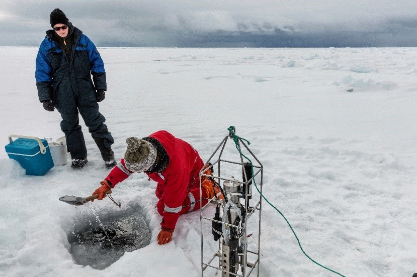 tiet kiem bao ve moi truong anh 2