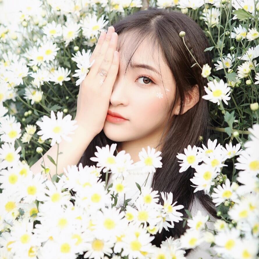 hoa khoi sinh vien anh 4