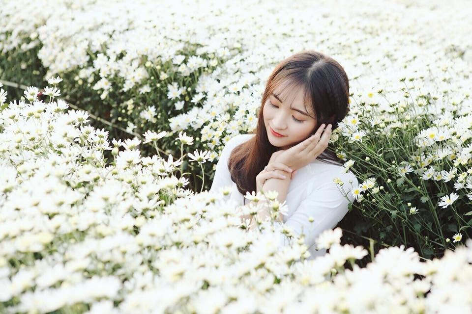 hoa khoi sinh vien anh 5