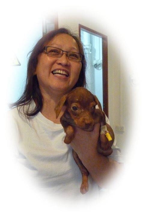 người phụ nữ cứu hộ động vật ở Singapore qua đời ảnh 2 nguoi phu nu cuu ho dong vat o Singapore qua doi anh 2