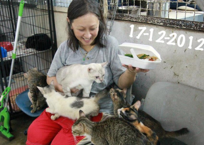 người phụ nữ cứu hộ động vật ở Singapore qua đời ảnh 1 nguoi phu nu cuu ho dong vat o Singapore qua doi anh 1