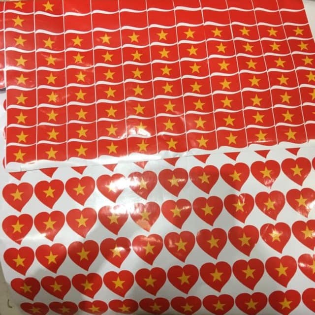 Viet Nam Indonesia anh 8