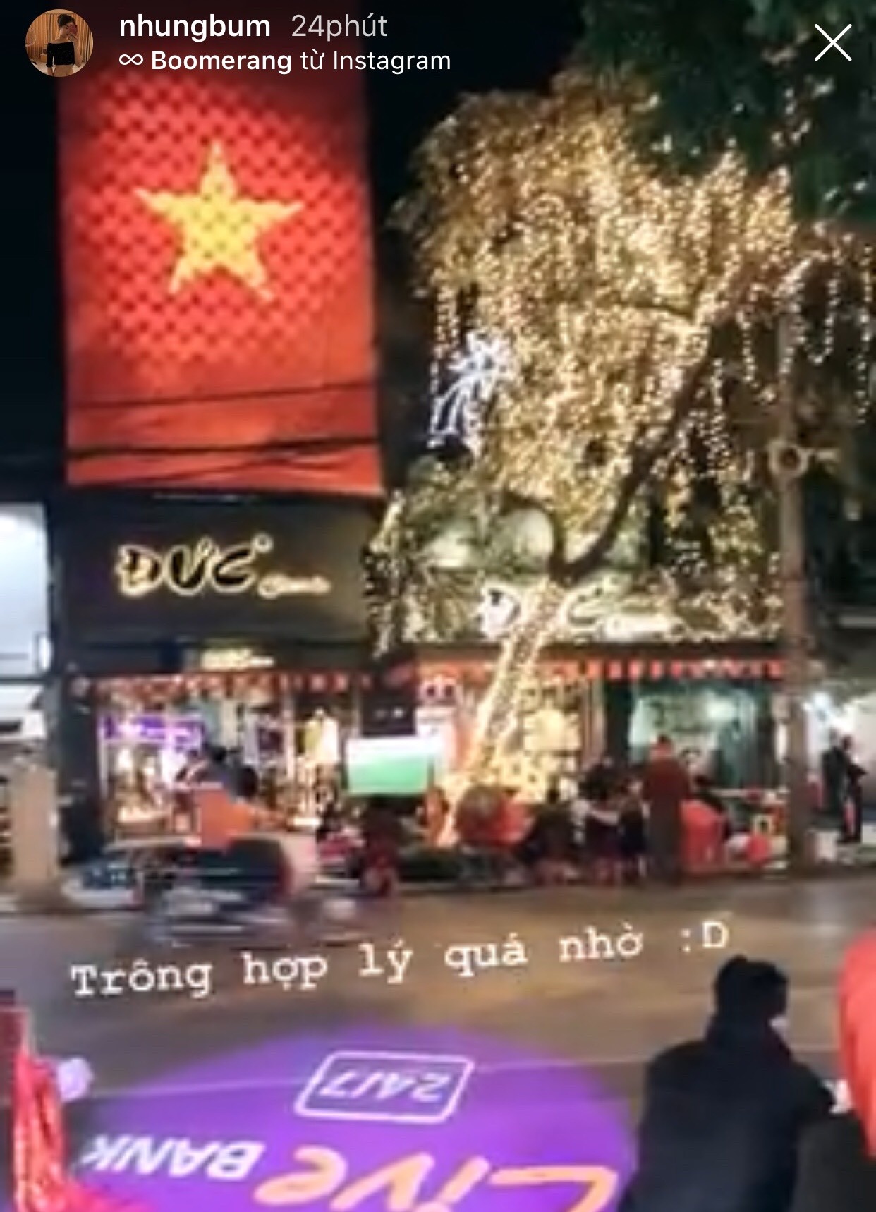 Viet Nam Indonesia anh 7