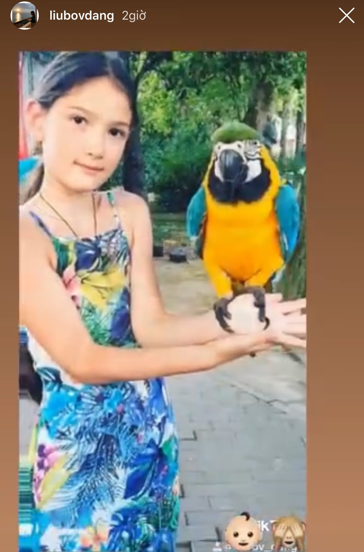 em gai thu mon Dang Van Lam anh 3