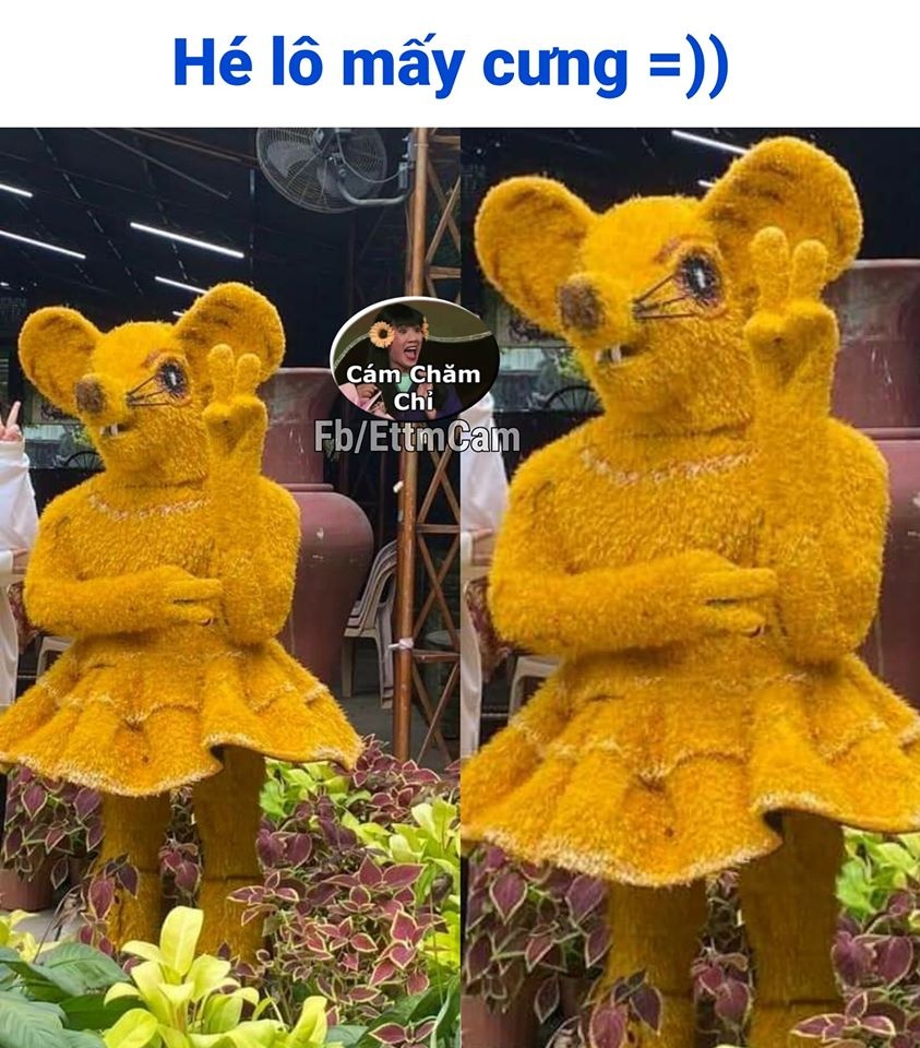 linh vat chuot anh 4