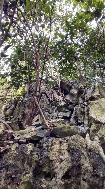 cau thu don Tet anh 7