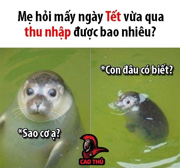 nỗi sợ khi hết Tết ảnh 7 noi so khi het Tet anh 7