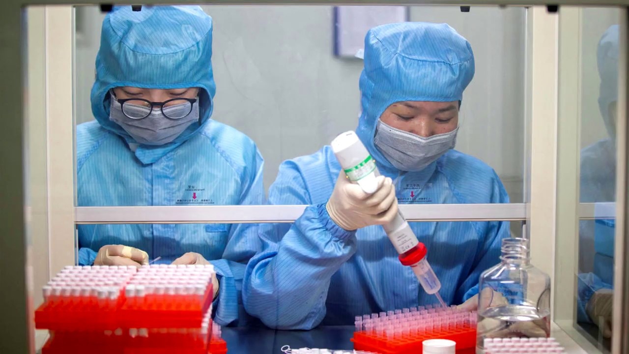 dịch virus corona  ảnh 2 dich virus corona anh 2