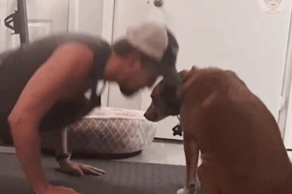 Chu cho ngan khong cho chu tap gym hinh anh