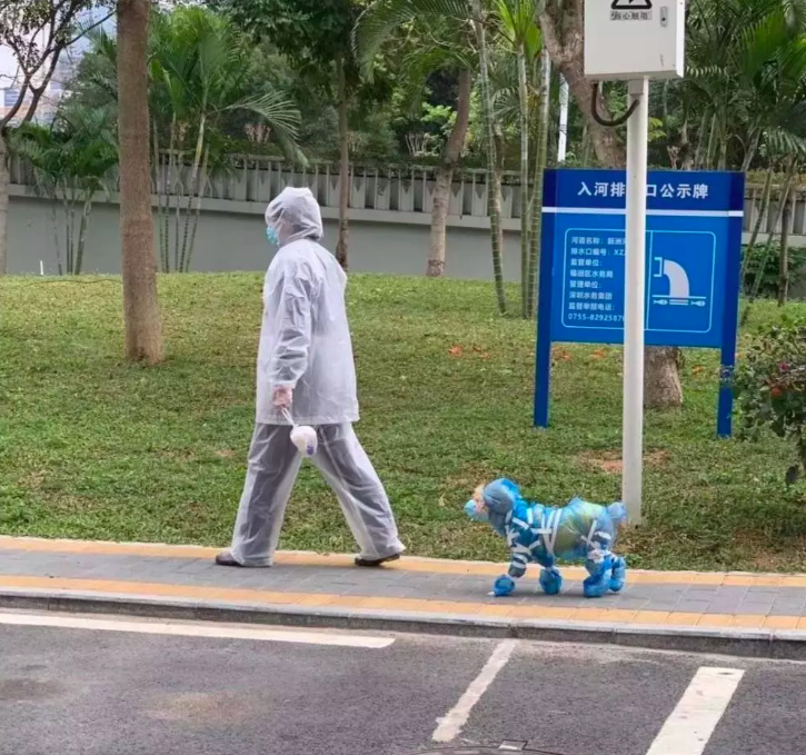 meo deo khau trang giua dich corona anh 4