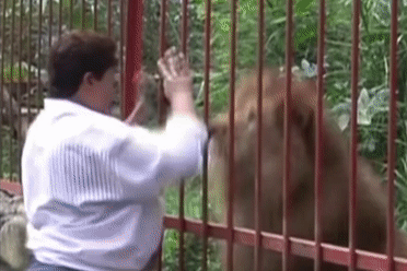 Su tu om cham lay an nhan cuu mang minh hinh anh