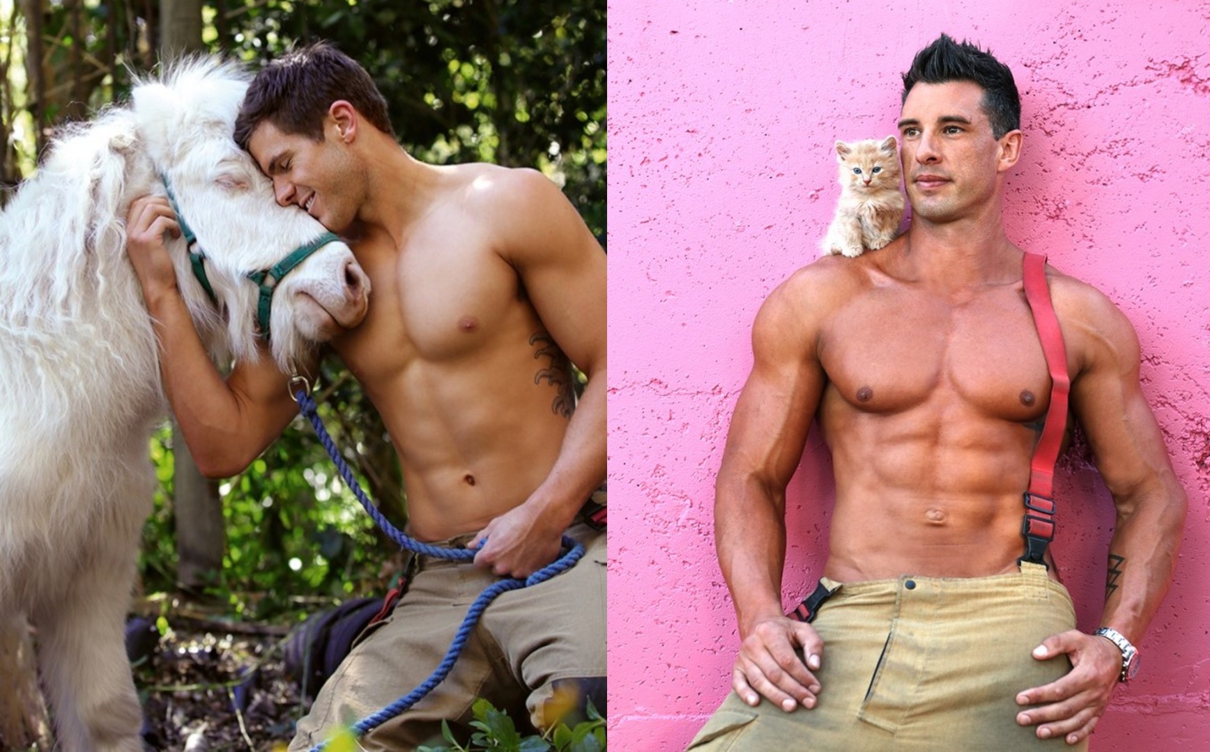 Linh cuu hoa Australia khoe co bung trong bo anh lich gay quy tu thien hinh anh