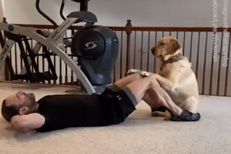 Chu cho tich cuc ho tro chu tap gym hinh anh