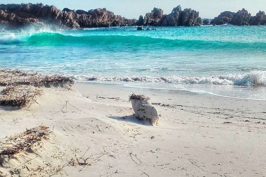 cu ong o mot minh tren dao 30 nam anh 2