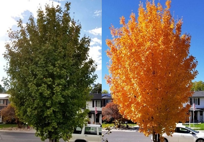 anh ngay ay - bay gio anh 13