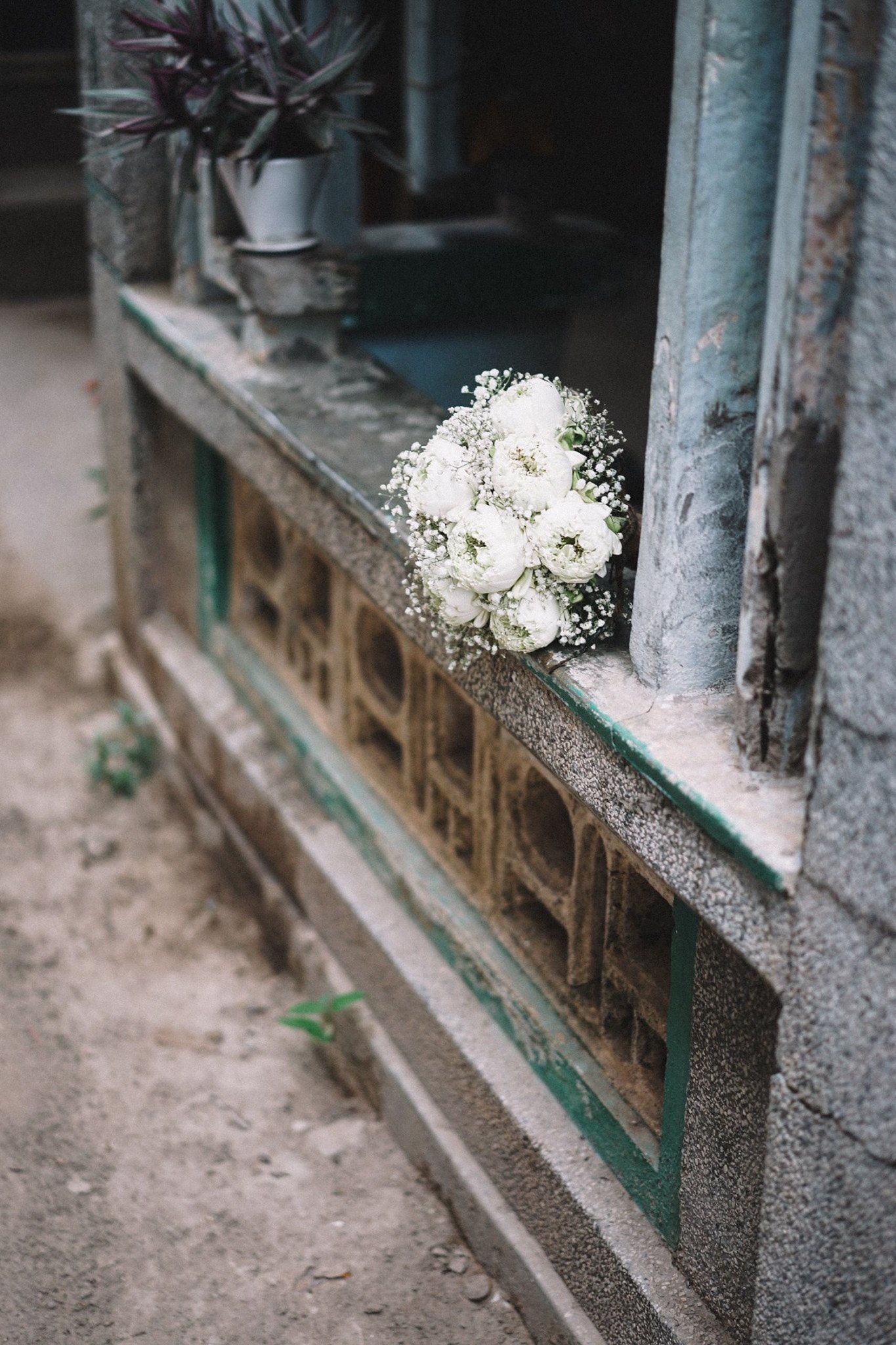 bo anh cuoi o mien Tay gay bao anh 8