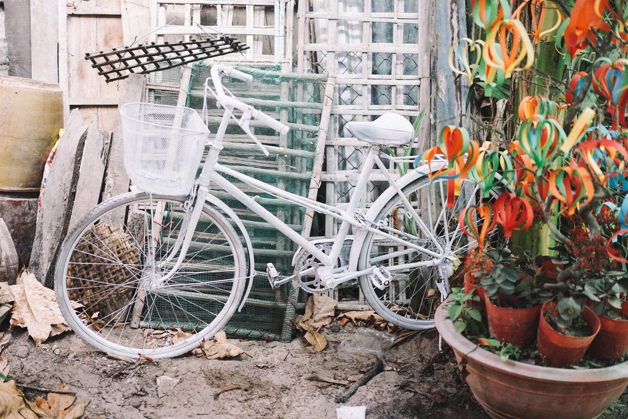 bo anh cuoi o mien Tay gay bao anh 11