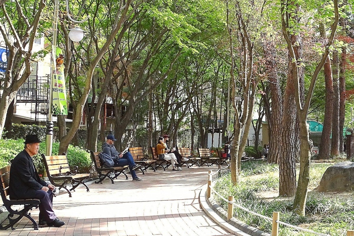 dân Daegu bị kỳ thị ảnh 1 dan Daegu bi ky thi anh 1