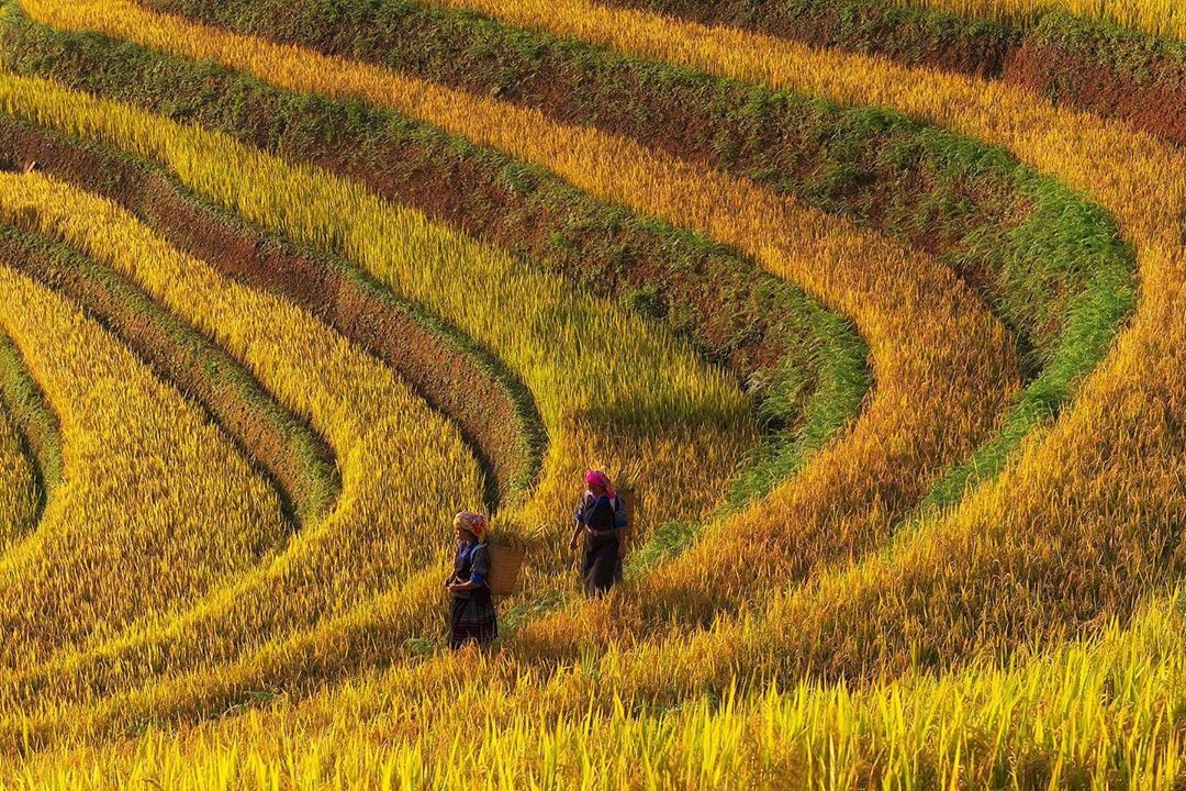 tòa chung cư treo quốc kỳ giữa mùa dịch ảnh 3 toa chung cu treo quoc ky giua mua dich anh 3