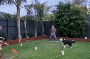 Co cho khoe kha nang choi tennis 'cu khoi' hinh anh