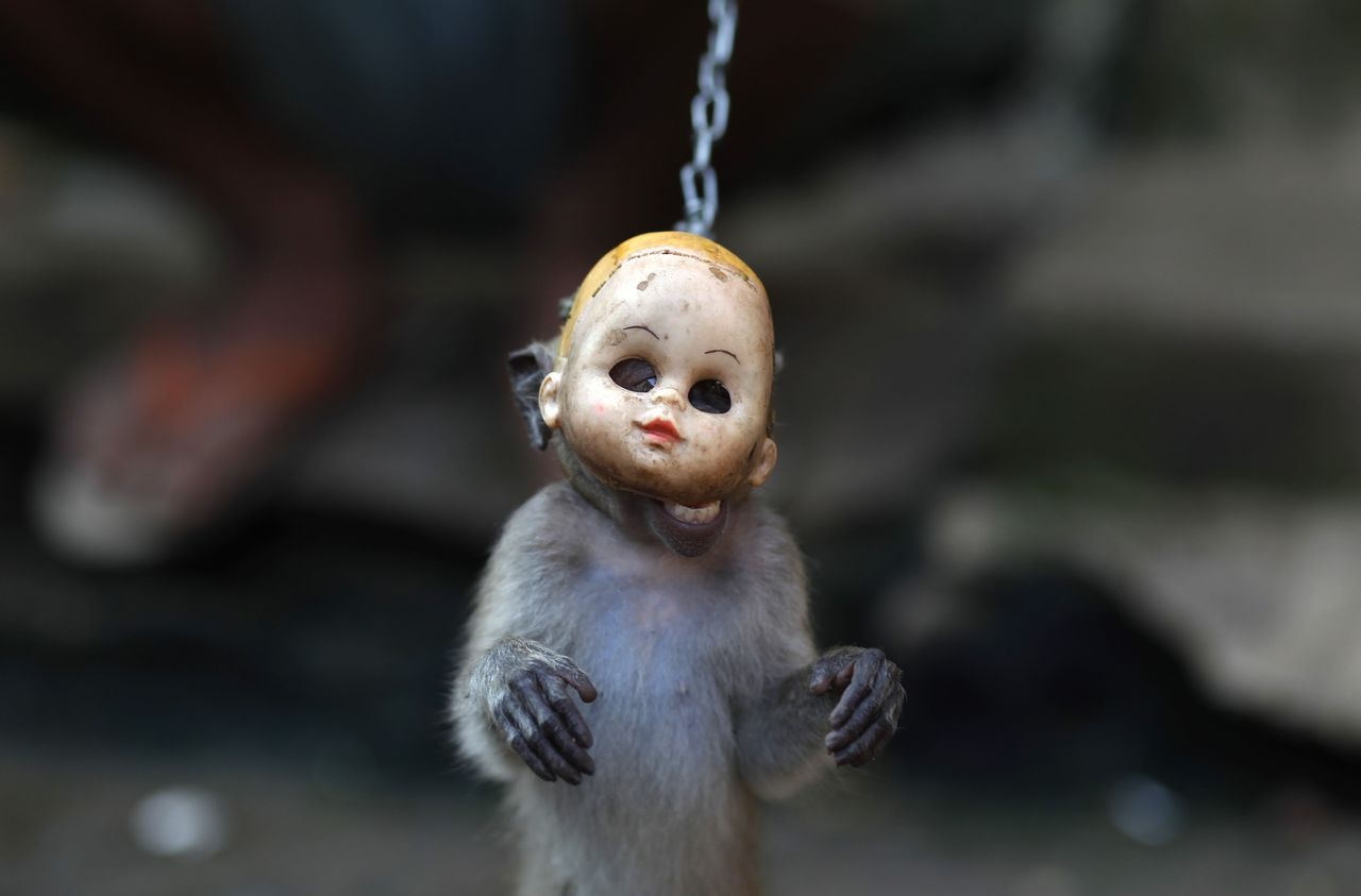 bé gái bị khỉ kéo lê trên đường ảnh 1 be gai bi khi keo le tren duong anh 1