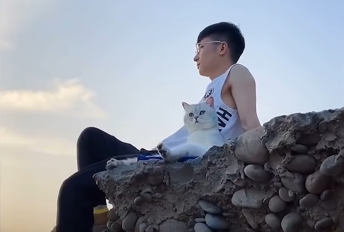 'Sen va boss' hut hang trieu fan tren mang khi cung du lich khap noi hinh anh