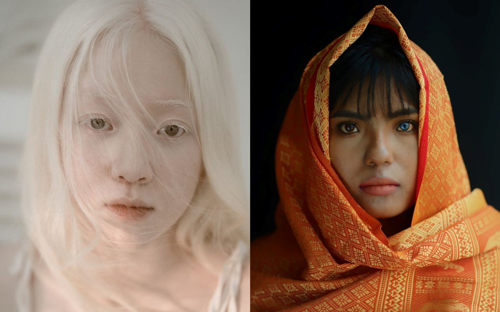 Ve dep la cua 3 co gai o Viet Nam hinh anh