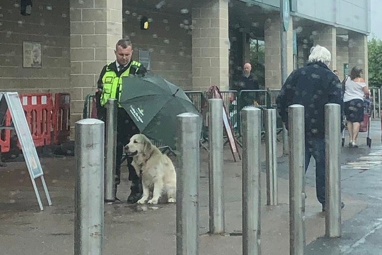 bao ve nhuong o che cho chu cho duoi mua anh 1