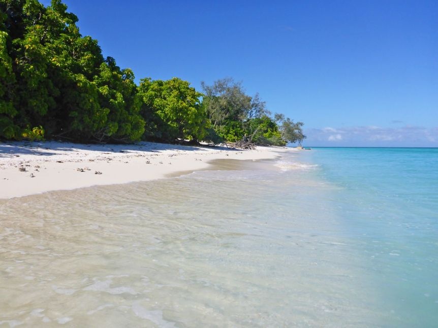 Song 1 minh tren dao hoang 50 nam anh 2