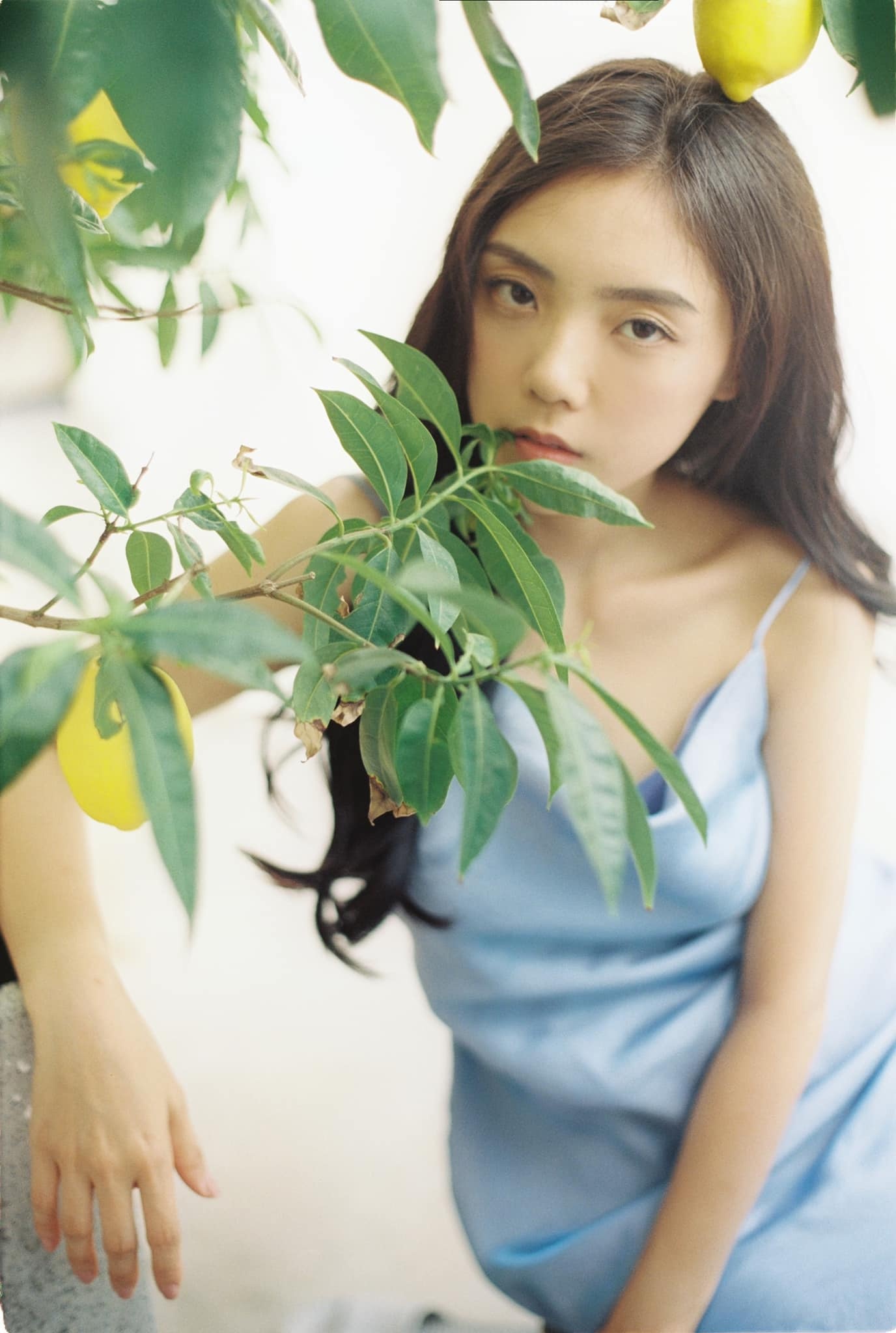 Lâm Á Hân ảnh 4 Lam A Han anh 4