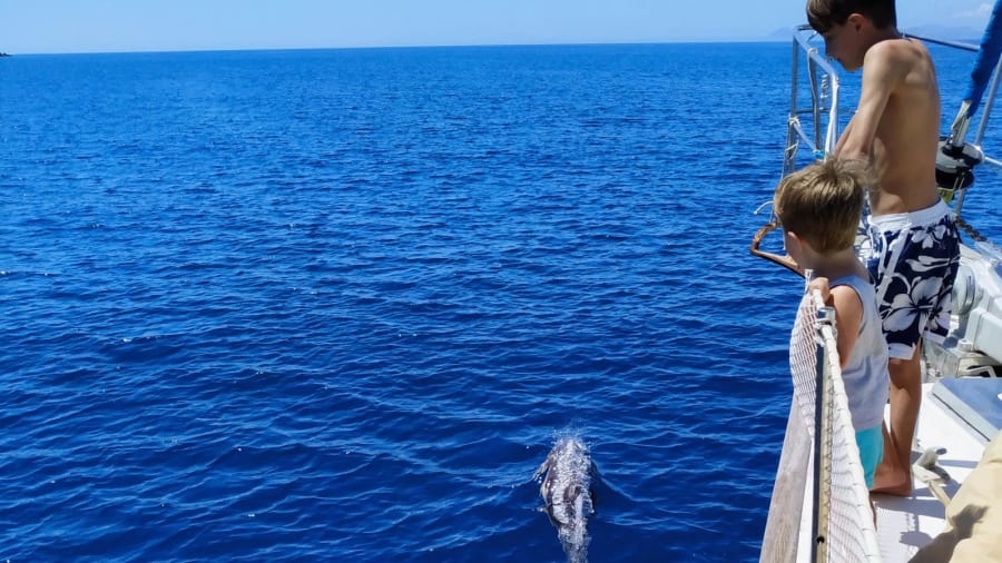 ban nha de chu du dai duong anh 2