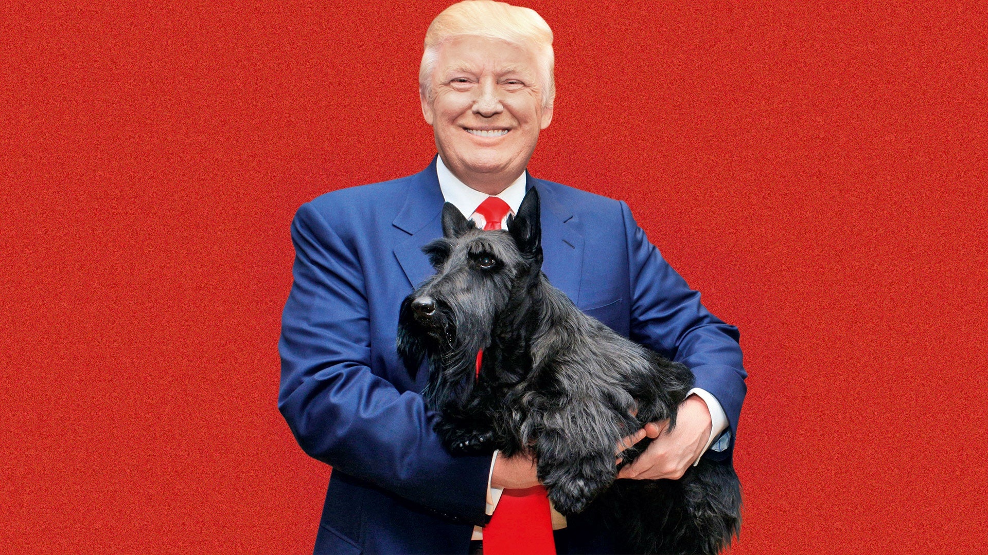 ông Donald Trump không nuôi chó ở Nhà Trắng ảnh 1 ong Donald Trump khong nuoi cho o Nha Trang anh 1