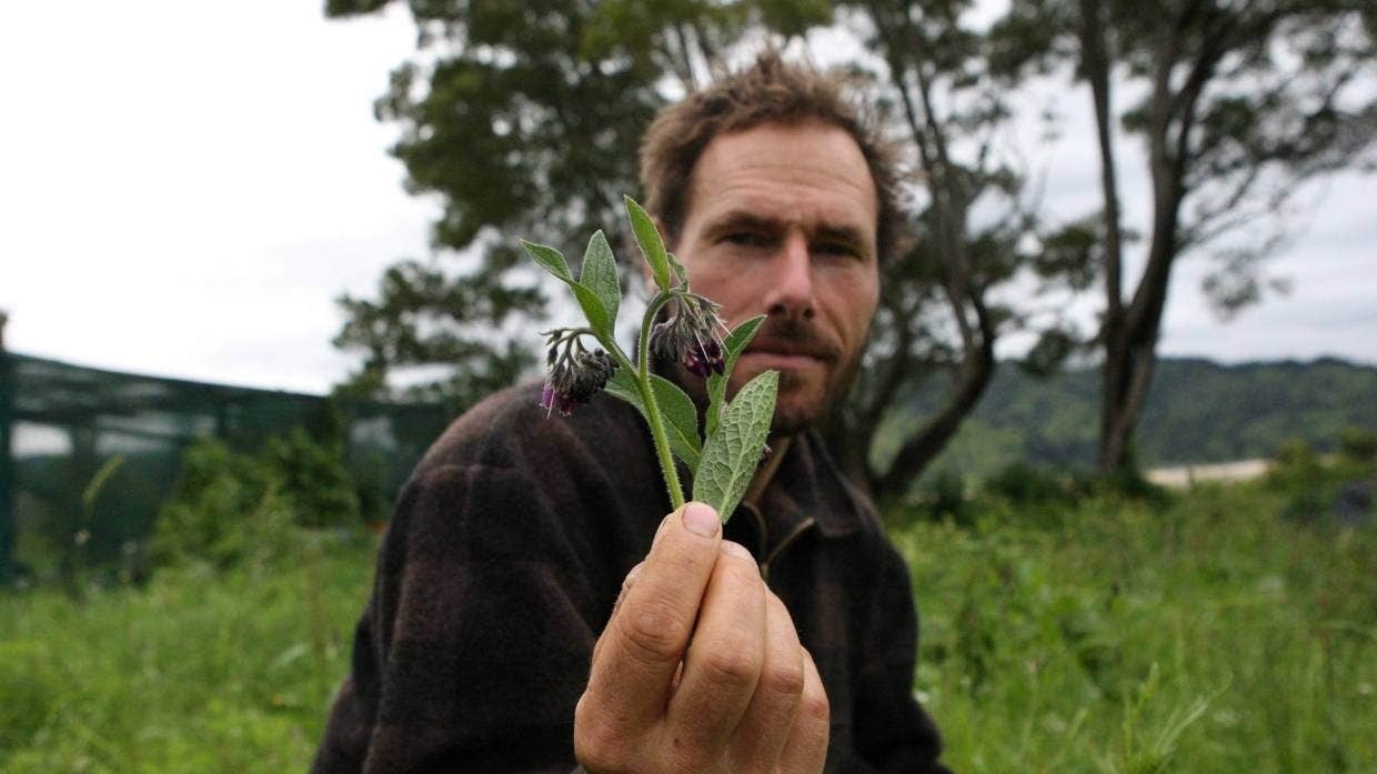 Cap vo chong ‘Robinson thoi hien dai’ o New Zealand anh 2