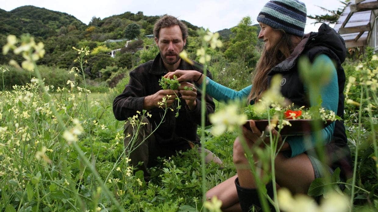 Cap vo chong ‘Robinson thoi hien dai’ o New Zealand anh 1