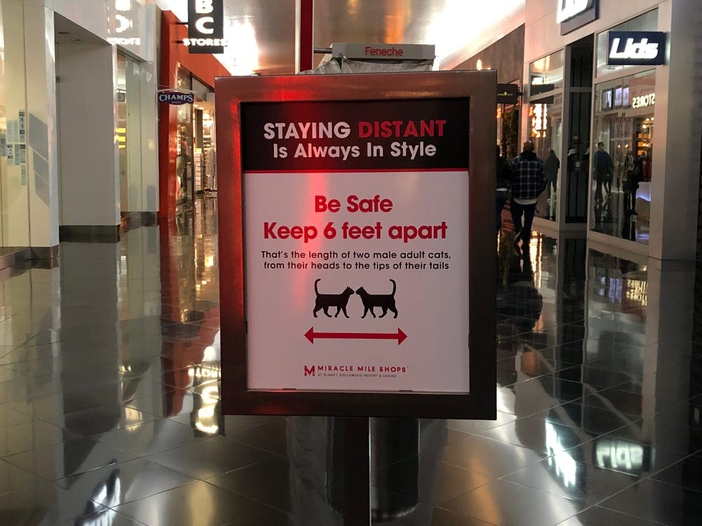 Las Vegas mua dich anh 8