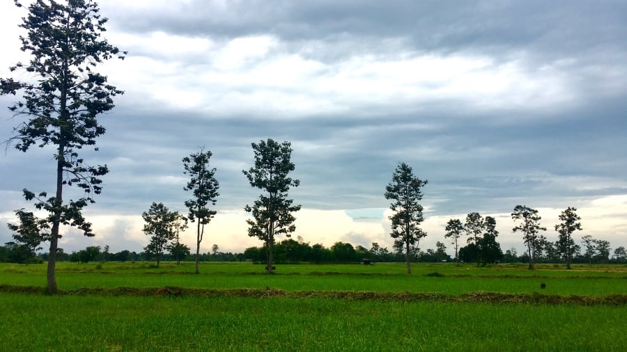 noi dich Covid-19 gan nhu khong cham den anh 1