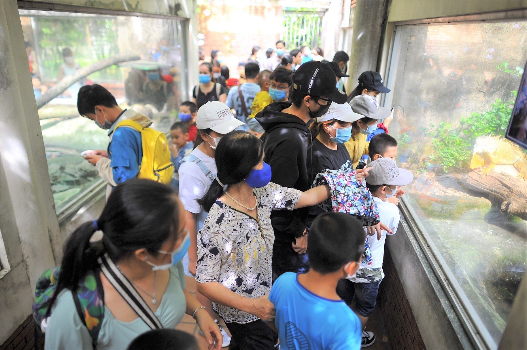 Thao Cam Vien dong duc trong ngay dau nam hinh anh