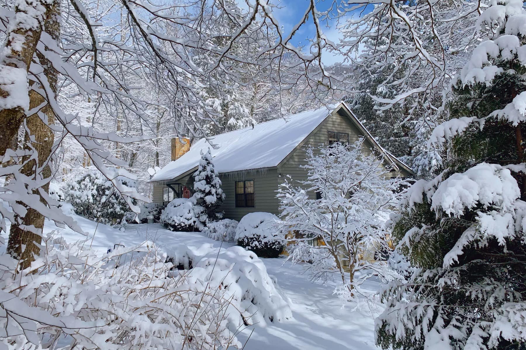 Tet cua co gai lay chong o My anh 4