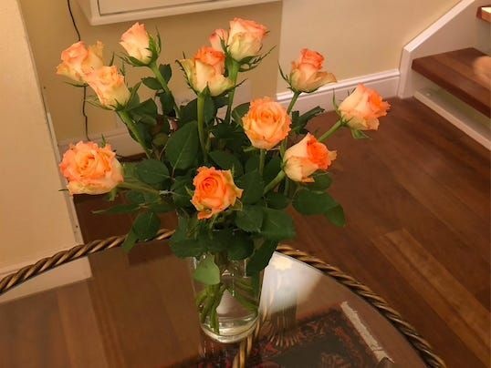 khach san nho nhat the gioi anh 12