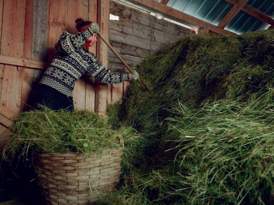 sống tách biệt với thế giới ảnh 5 song tach biet voi the gioi anh 5