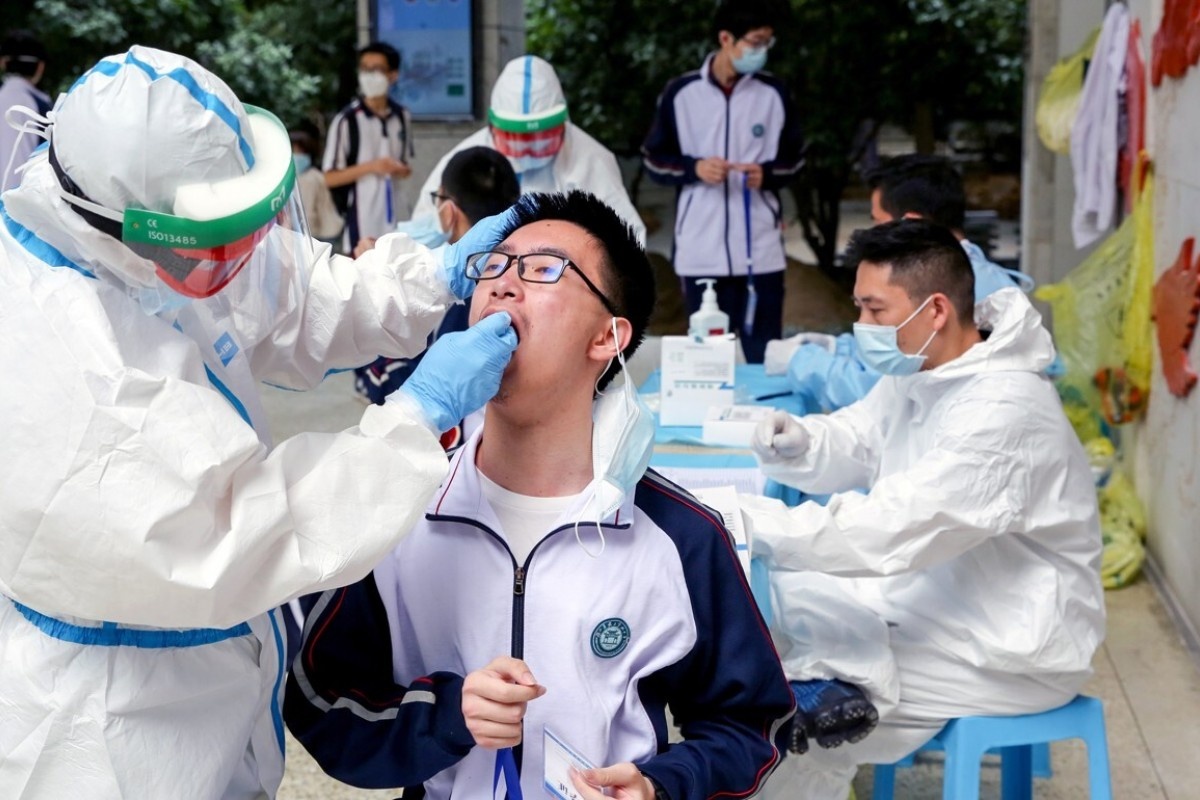 Về hay ở dịp Tết Nguyên đán ảnh 1 Ve hay o dip Tet Nguyen dan anh 1